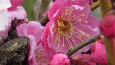 1337 03 1.2017.03.26