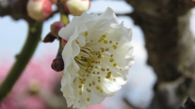 2750 04 1.2022.03.30