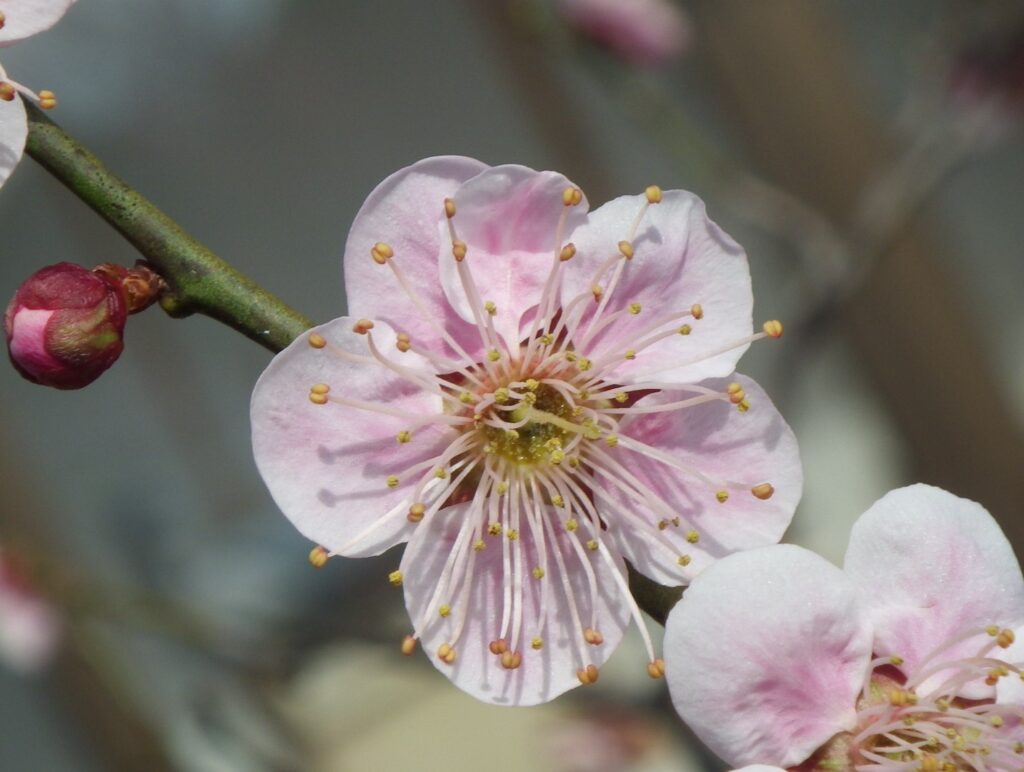 モ守の関IMGP2899