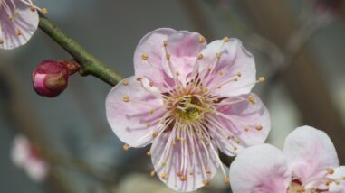 モ守の関IMGP2899