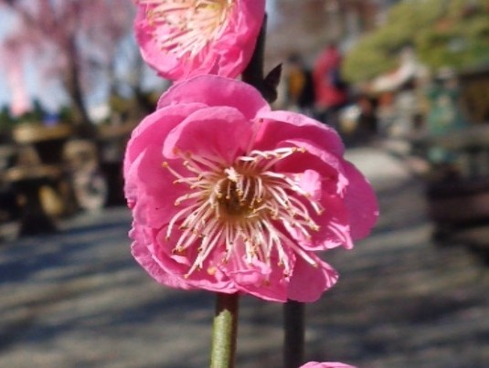 DSC00189